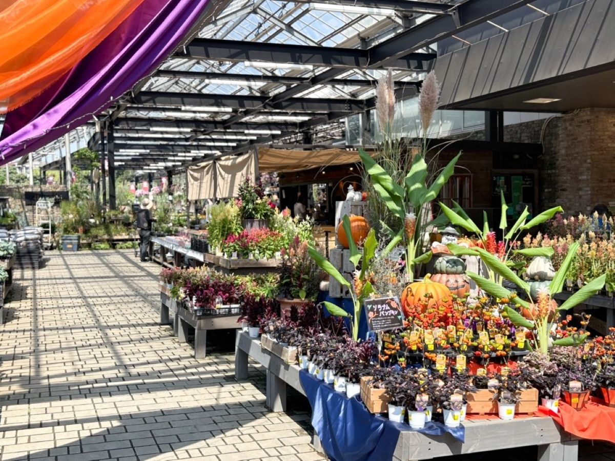 都内最大級のガーデンセンター併設の穴場カフェ！四季折々の植物が楽しめる「GROWERS CAFÉ」でランチはいかが？ - PiasoN-ピアソン-